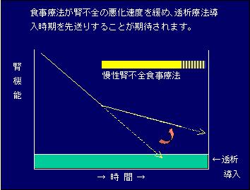 食事療法と腎不全の悪化速度の関係