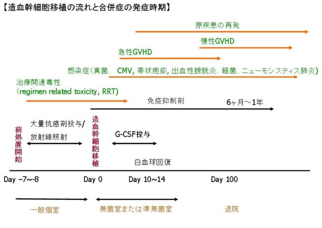逐条解説臓器移植法 : 臓器移植・造血幹細胞移植関係法令通知　　　　　l6221 逐条解説臓器移植法: 臓器移植・造血幹細胞移植関係法令通知